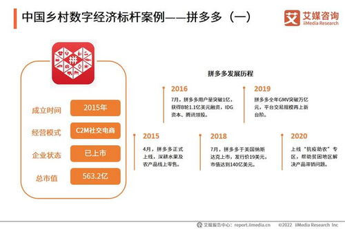 2022年中國鄉(xiāng)村數(shù)字經(jīng)濟發(fā)展專題研究報告